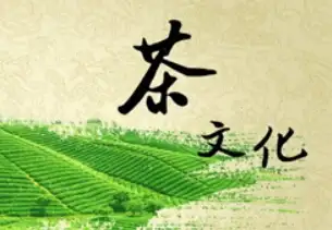 祁门：非遗蛇伤技艺走进校园，魅力传承焕发新生