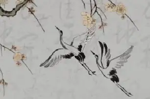 [300秒瞰墨江：哈尼故土的多彩秘境与山河画卷]