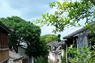 【世界地球日】守护蓝色星球，共建人与自然和谐共生的美好未来！