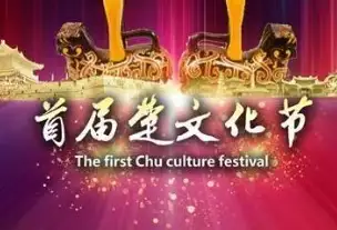 第五届消博会：解锁低空经济的无限潜能