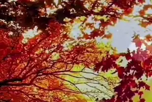 石门非遗盛筵再启幕——裕华区第二届传统文化嘉年华燃情开启