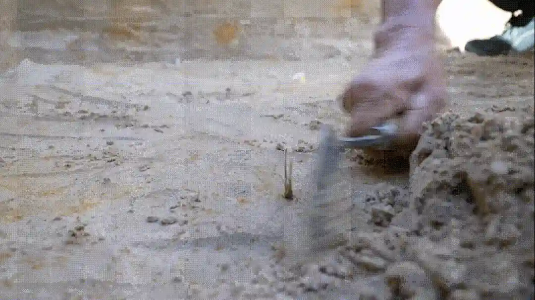 秘境觉醒：河套人千年传奇惊艳北疆