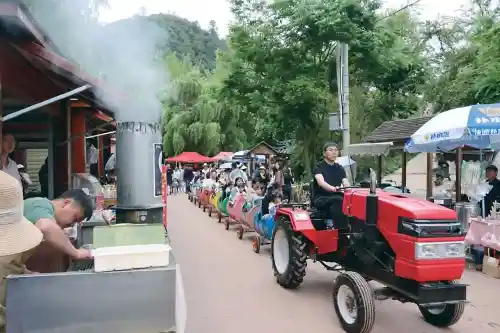 东村密码：小山村如何玩转烟火气破圈出圈