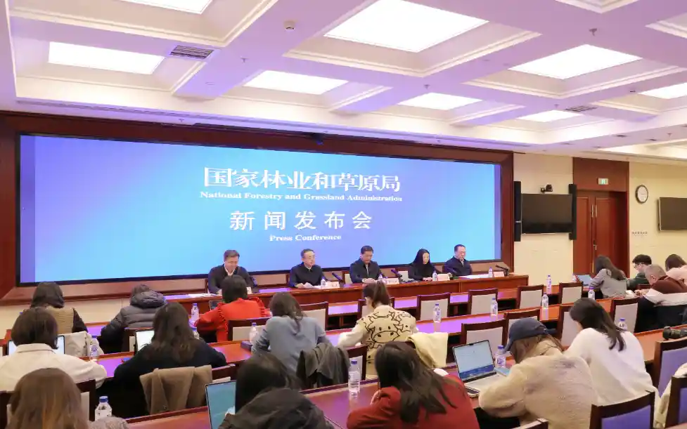 【绿满中华】国土绿化焕发新活力