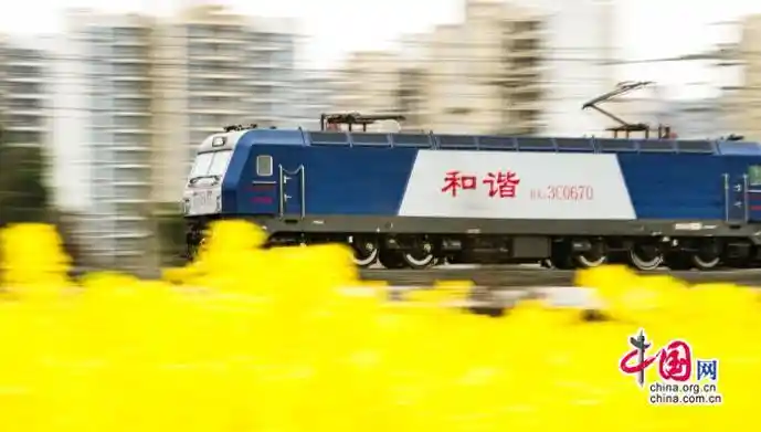 【慢游时光机：银发族乘风追光，驶向幸福彼岸】