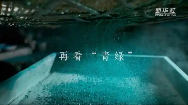 再探青绿：新华视点解读