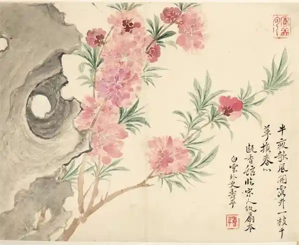 《瓯香馆写生册》：恽寿平笔下的清新洒脱，艺术巅峰的悄然绽放