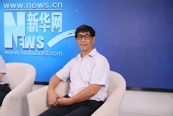 揭秘双百古树密码：探寻岁月长河中的自然奇迹