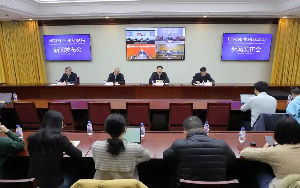 我国开辟生态保护新径：特色荒漠化防治的绿色奇迹