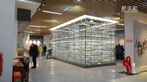 [千城百县看中国·京瓷华章｜300余件套陶瓷精品闪耀永定河文化博物馆]