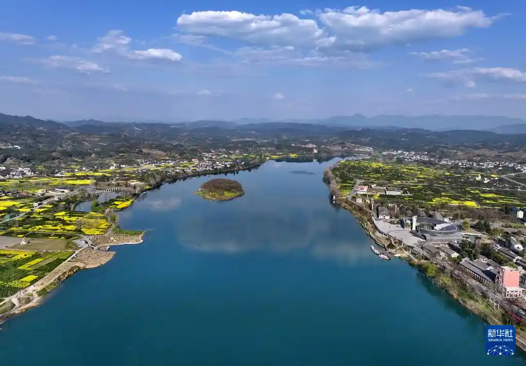 【新时代中国调研行·文化中华】一江两岸稻飘香，千年传承续华章