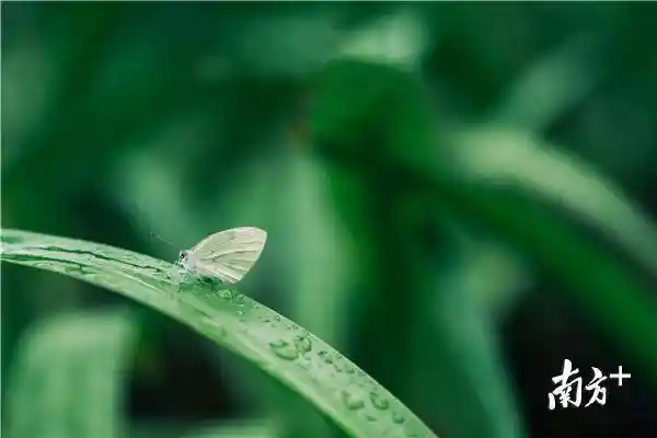 春雷激荡，生机勃发