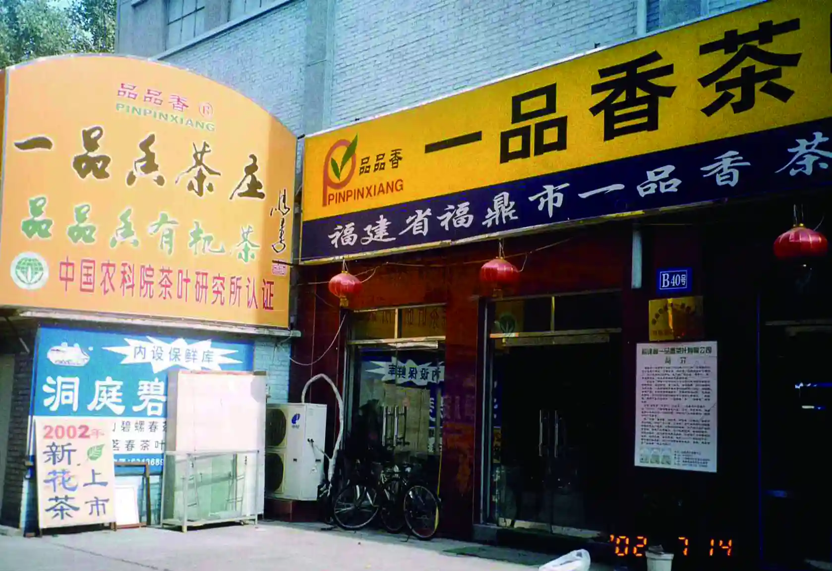 福鼎白茶非遗传承人林振传：以创新之力赋能乡村振兴与产业蝶变