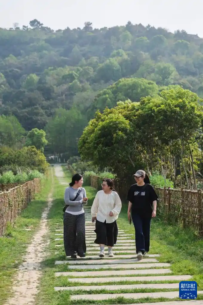 慈溪创意转型：城市闲置空间变身文化新地标