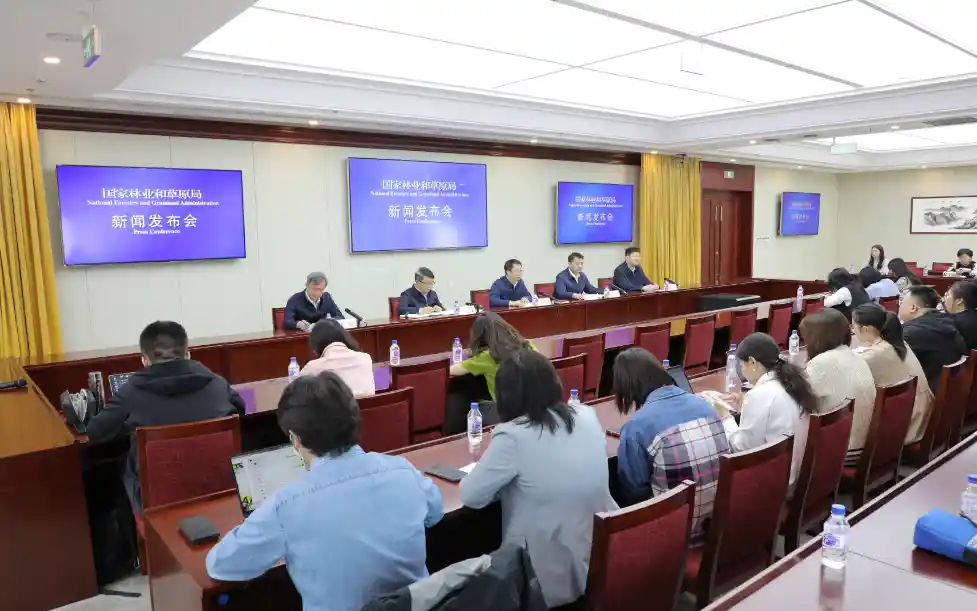 《草原振兴：历史性突破与里程碑式成就》