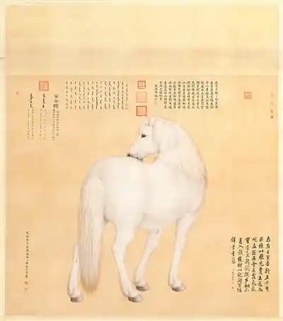 生灵志笔墨绘卷：解码生命图谱的文学密码