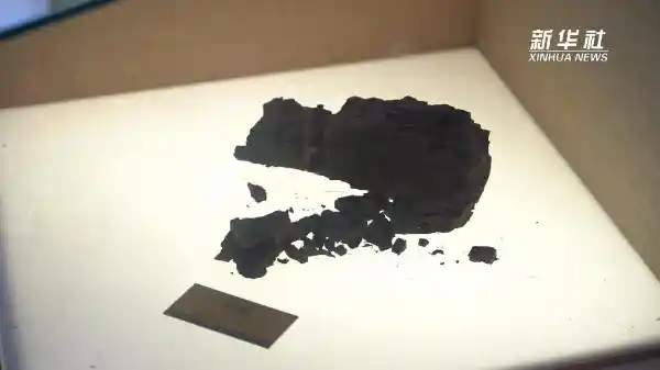 探秘大同煤炭博物馆：揭开优质煤真面目，你知道好煤长什么样吗？