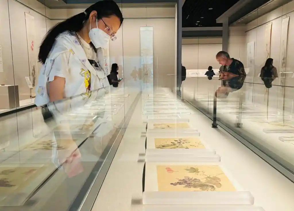 清代花鸟画珍品展亮相天津博物馆：89件（套）精品首度集结