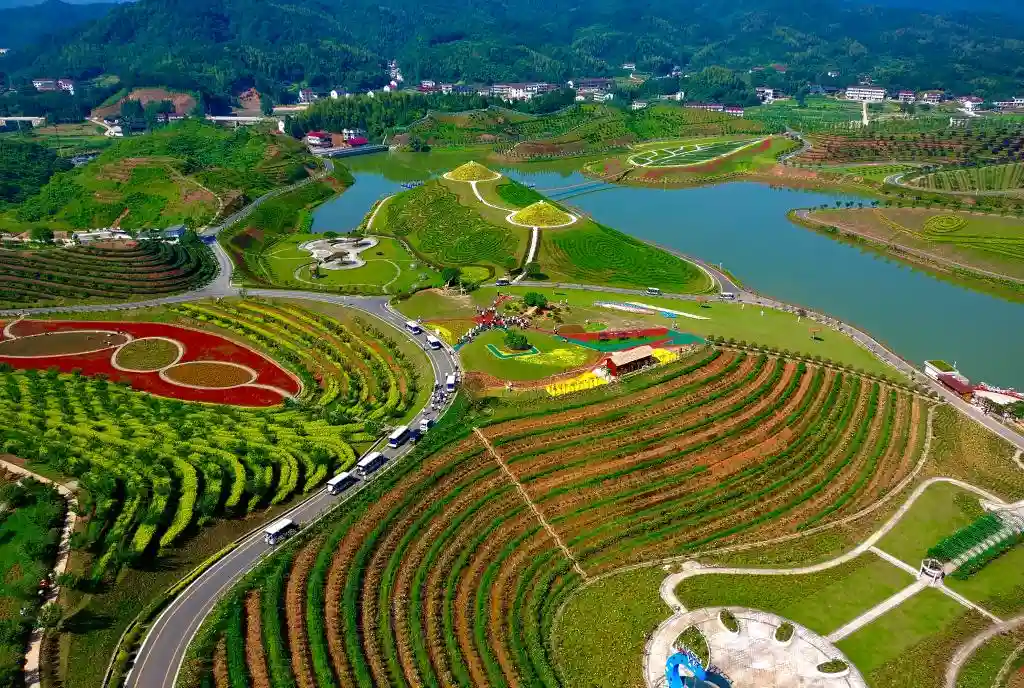 黑茶古法焕新机：文旅融合催生舌尖上的经济浪潮