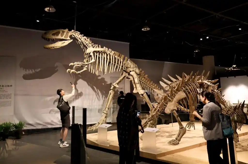巨龙觉醒：中国恐龙大展震撼登陆上海
