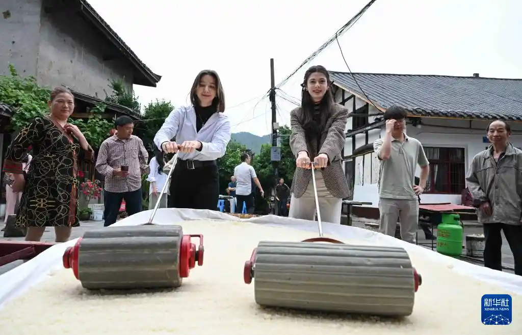 《异国学子共度端午：在重庆感受传统民俗的魅力》