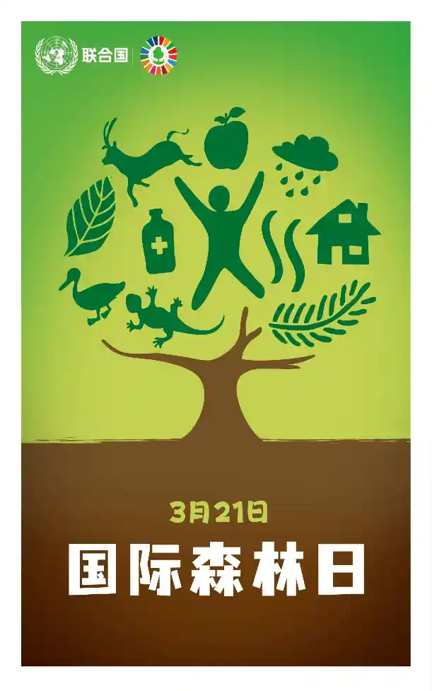 绿动全球：国际森林日呼唤守护生命之源