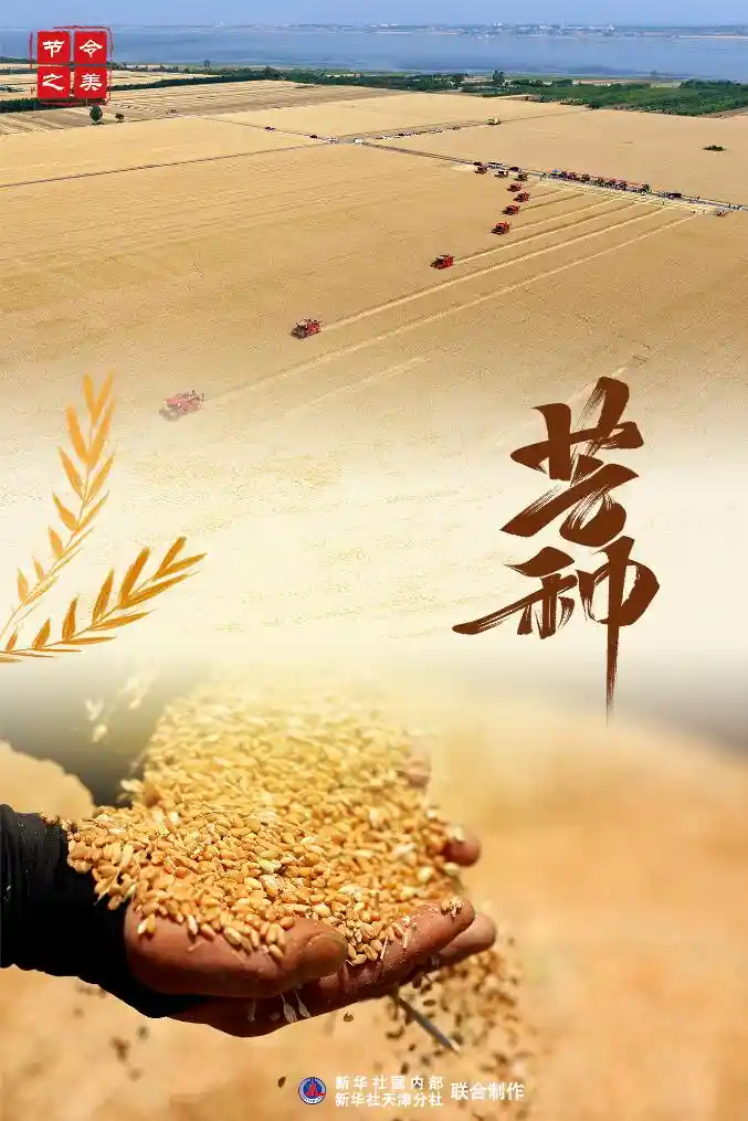 [时序画卷·芒种：仲夏序曲，诗意登场]