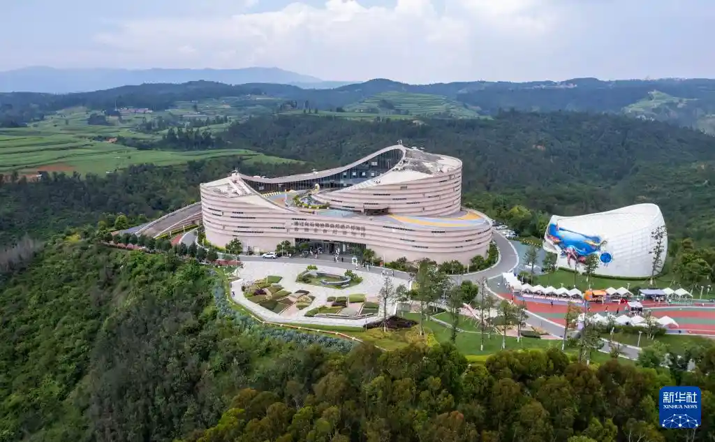 暑期探秘澄江化石地：揭开远古生命密码的奇幻之旅