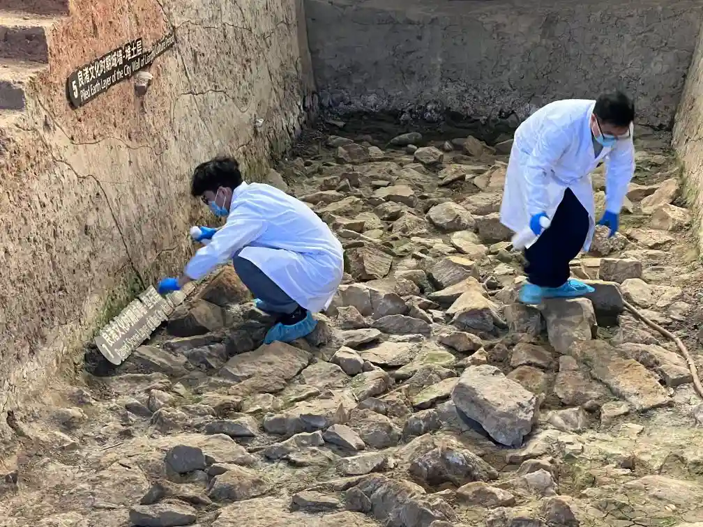 良渚遗址：科技赋能文明圣地焕新颜