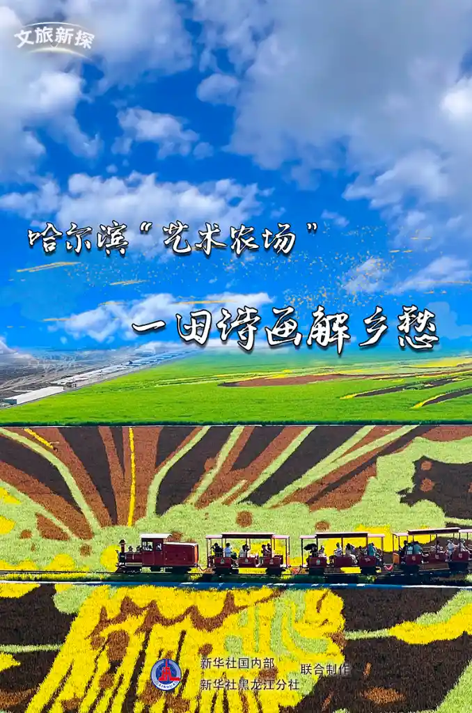 诗画稻田唤醒乡愁：哈尔滨艺术农场惊艳出圈