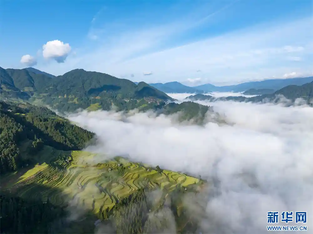 贵州从江惊现天空之海！月亮山云海奇观如梦如幻