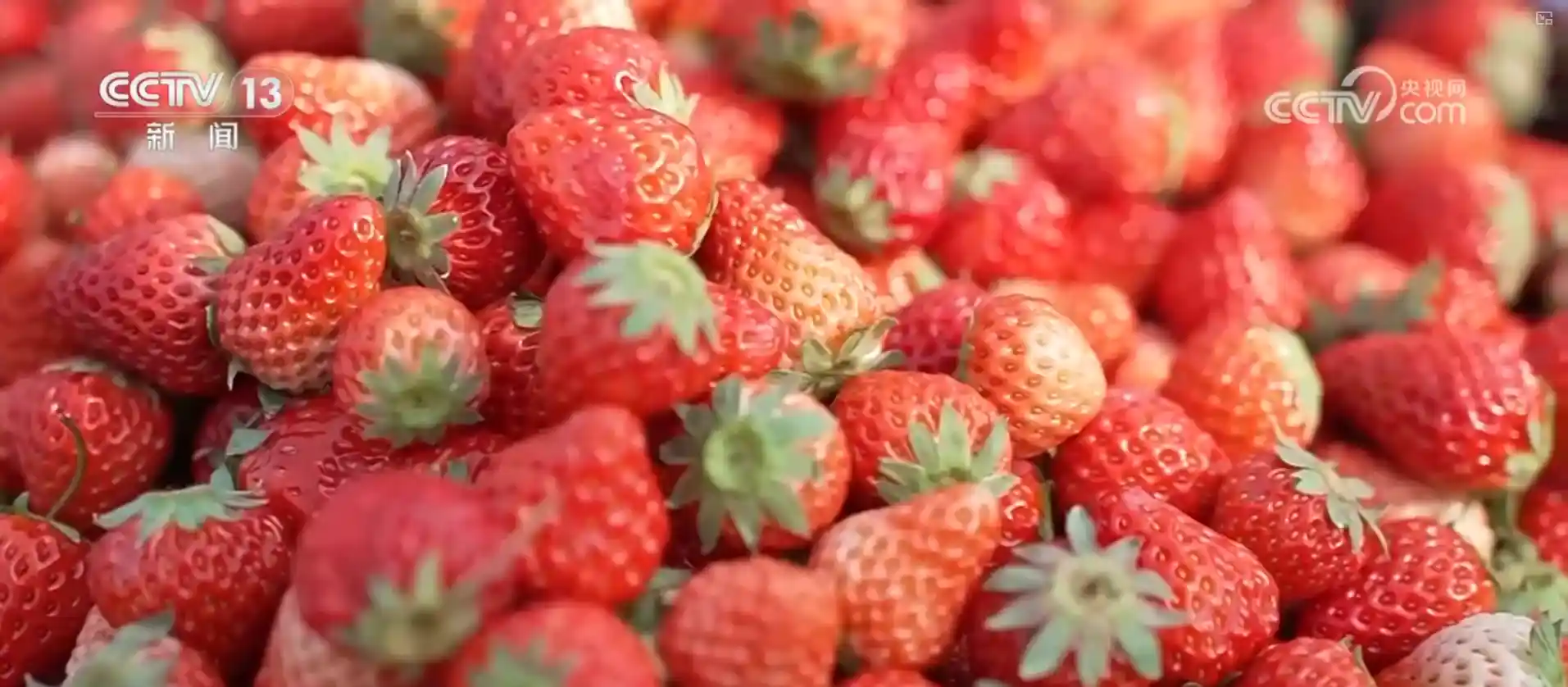 传统大集焕新颜，年味浓情正当时