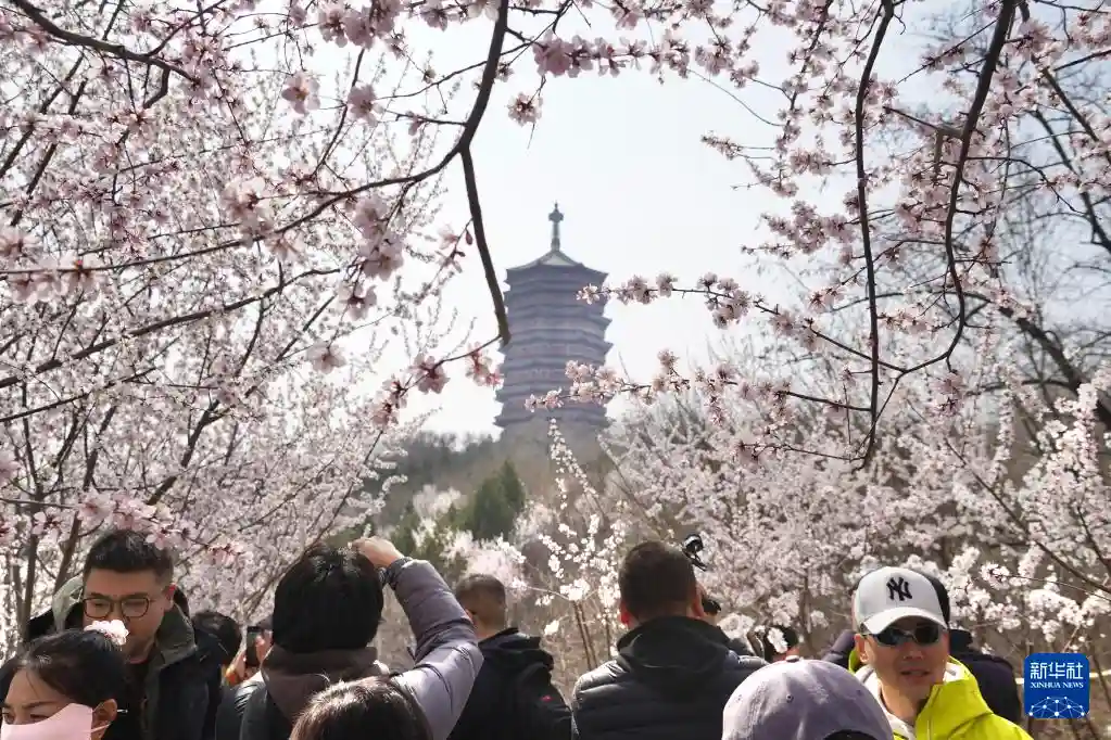 国潮新势力登场！北京园博园嘉年华掀起文化风暴