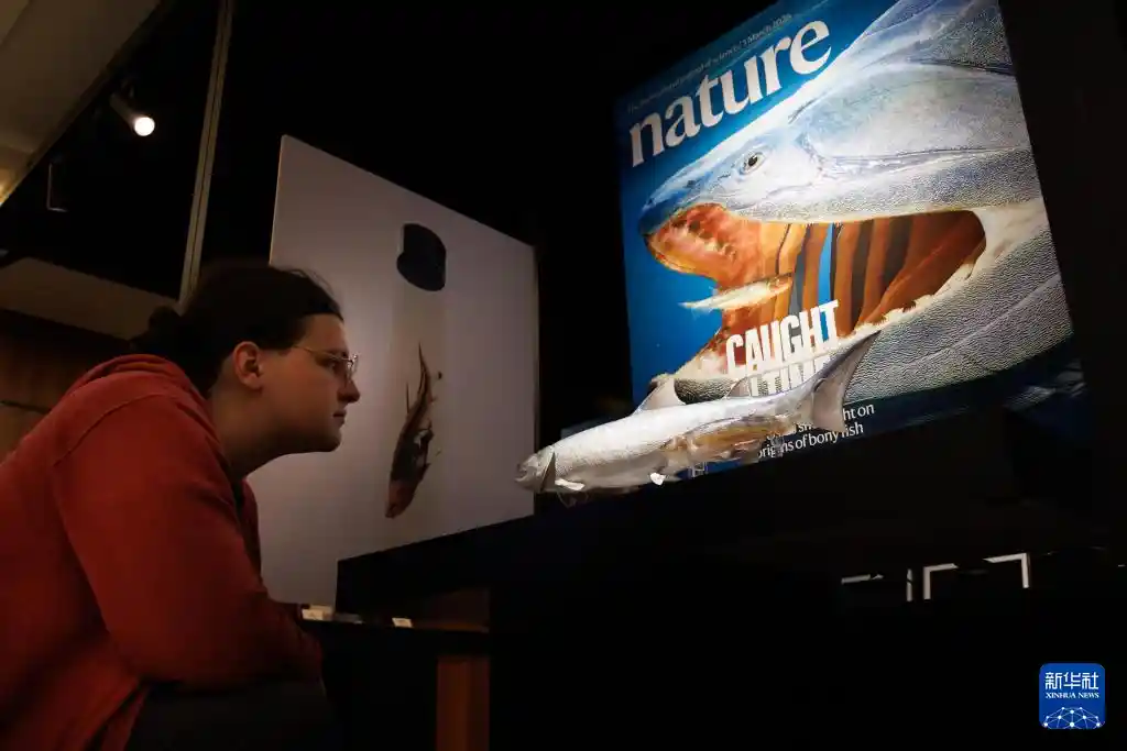 从鱼到人再破谜！中国惊现早期硬骨鱼化石新证据