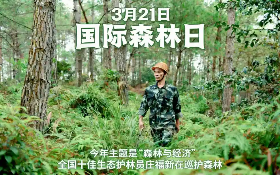 呼吸的森林在说话：国际森林日，每一口空气都在为你投票