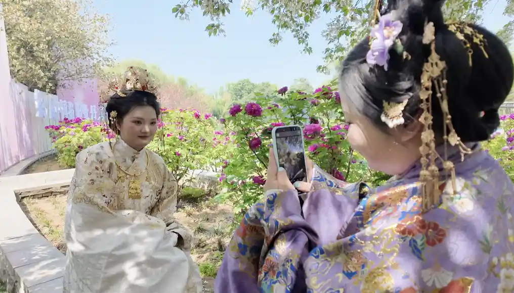 古都新‘花’事：洛阳文旅焕新登场