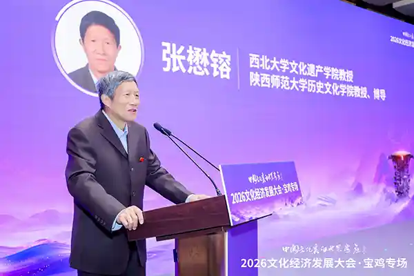 宝鸡密码：解码陕西文明的源头基因